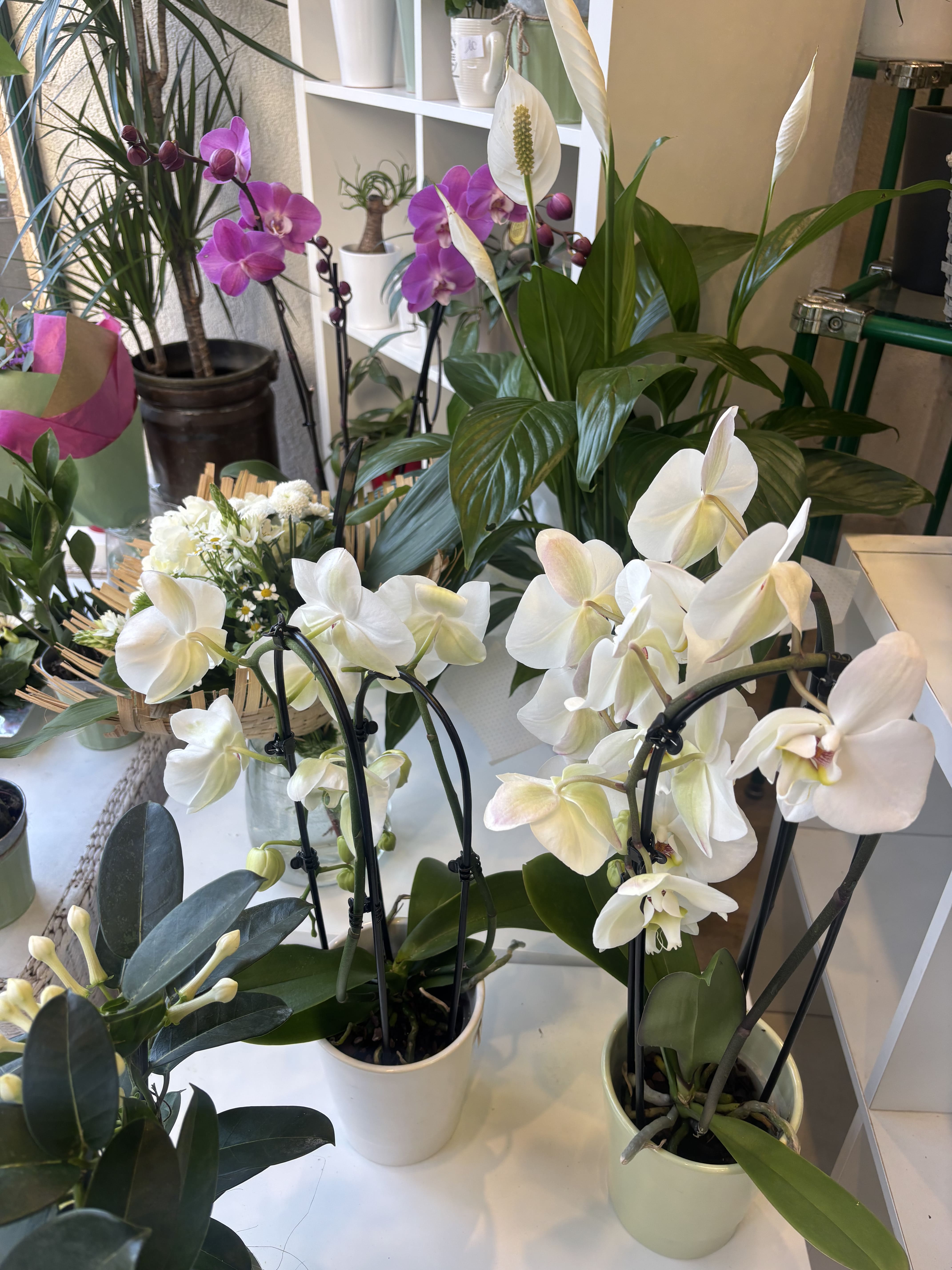 Mimi PINSON fleurs