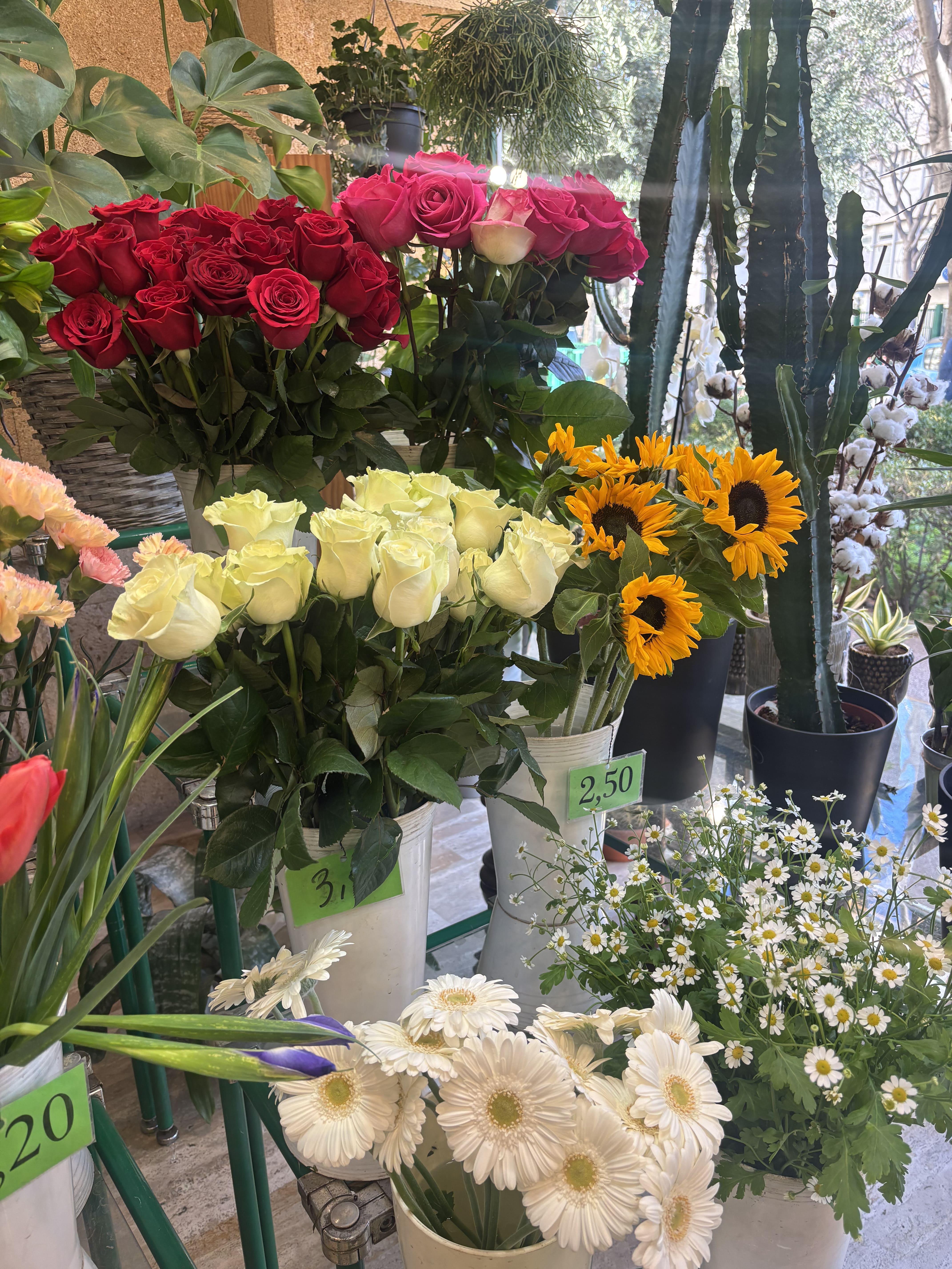 Mimi PINSON fleurs